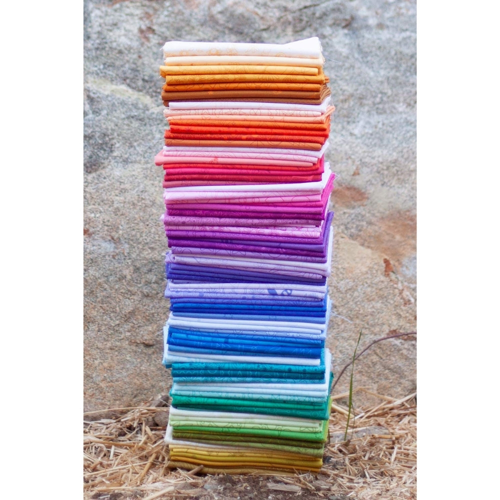 Colour Camp Basics